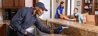 Best Pest Prevention Services  in Sa De Oro Mount Helix, CA